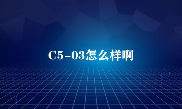 C5-03怎么样啊