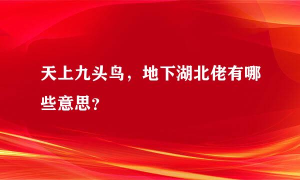 天上九头鸟，地下湖北佬有哪些意思？