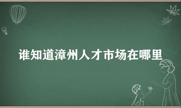 谁知道漳州人才市场在哪里