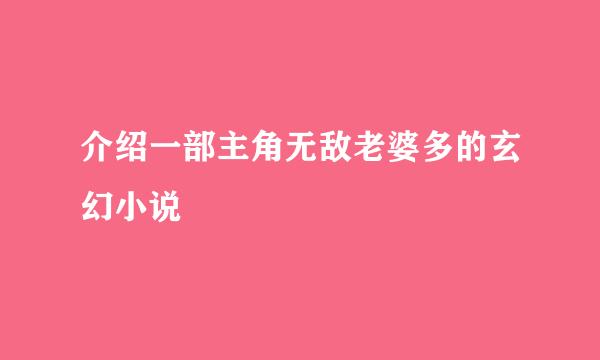 介绍一部主角无敌老婆多的玄幻小说