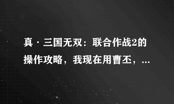 真·三国无双：联合作战2的操作攻略，我现在用曹丕，关于曹丕的用法能够多说几句的话，不胜感激