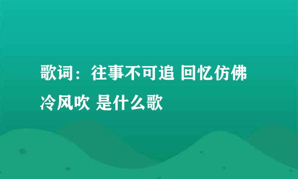 歌词：往事不可追 回忆仿佛冷风吹 是什么歌