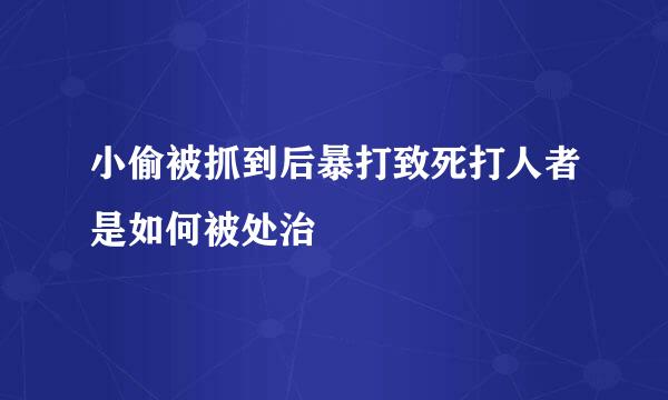 小偷被抓到后暴打致死打人者是如何被处治