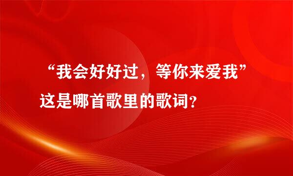 “我会好好过，等你来爱我”这是哪首歌里的歌词？