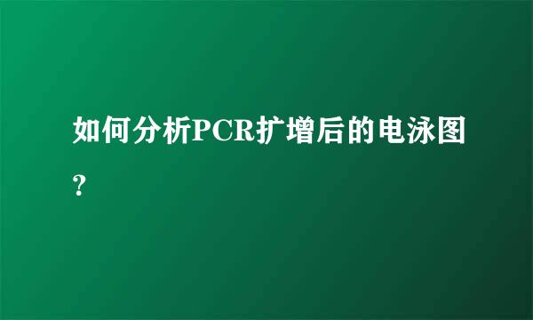 如何分析PCR扩增后的电泳图？