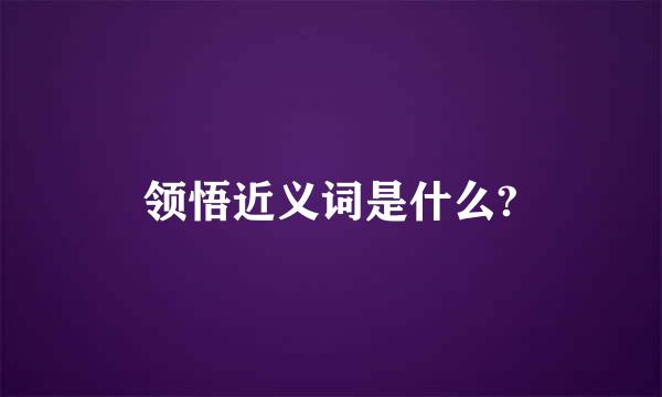 领悟近义词是什么?