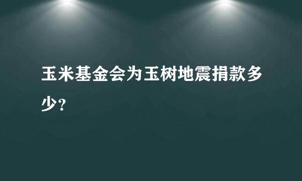 玉米基金会为玉树地震捐款多少？