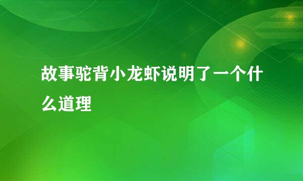 故事驼背小龙虾说明了一个什么道理