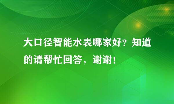 大口径智能水表哪家好？知道的请帮忙回答，谢谢！