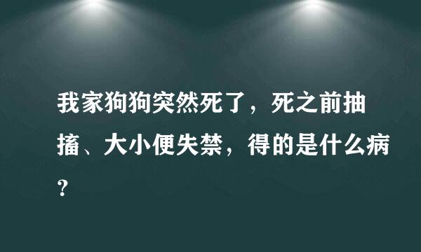 我家狗狗突然死了，死之前抽搐、大小便失禁，得的是什么病？