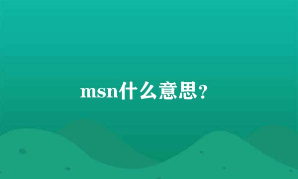 msn什么意思？