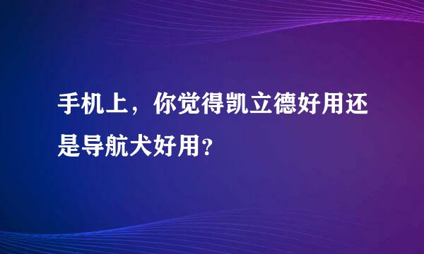 手机上，你觉得凯立德好用还是导航犬好用？