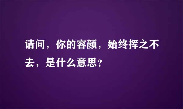 请问，你的容颜，始终挥之不去，是什么意思？