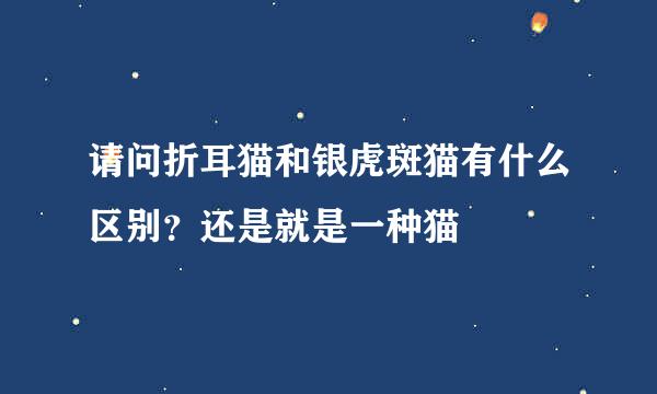 请问折耳猫和银虎斑猫有什么区别？还是就是一种猫