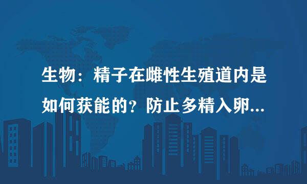 生物：精子在雌性生殖道内是如何获能的？防止多精入卵的两道防线的形成机制究竟是什么？