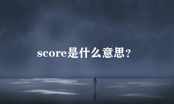 score是什么意思？