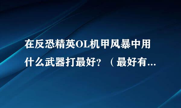 在反恐精英OL机甲风暴中用什么武器打最好？（最好有图 尽量是少钱的）