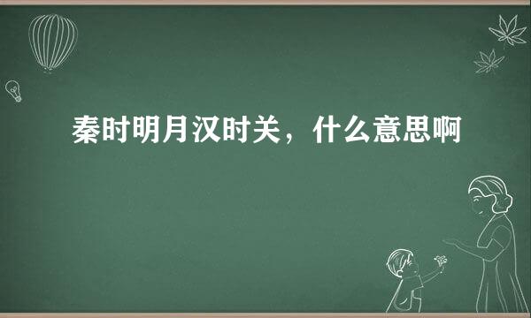 秦时明月汉时关，什么意思啊