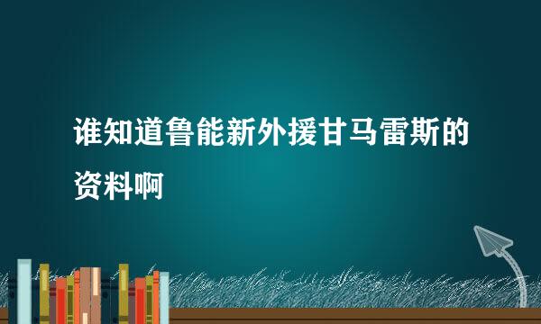 谁知道鲁能新外援甘马雷斯的资料啊