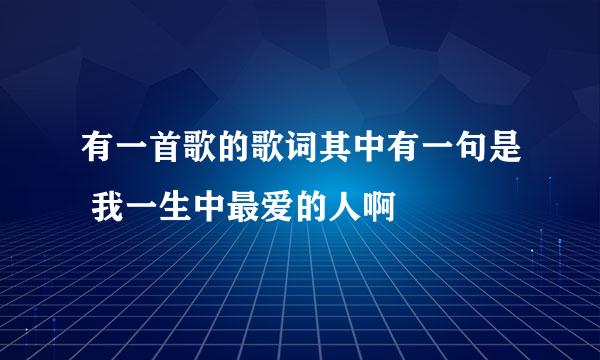 有一首歌的歌词其中有一句是 我一生中最爱的人啊