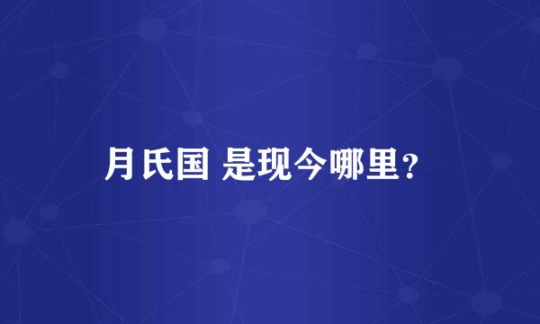 月氏国 是现今哪里？