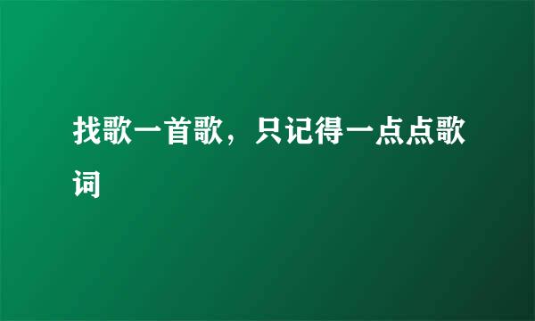 找歌一首歌，只记得一点点歌词