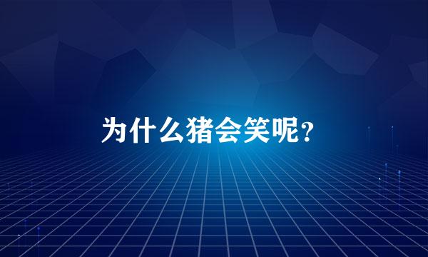 为什么猪会笑呢？