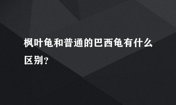 枫叶龟和普通的巴西龟有什么区别？