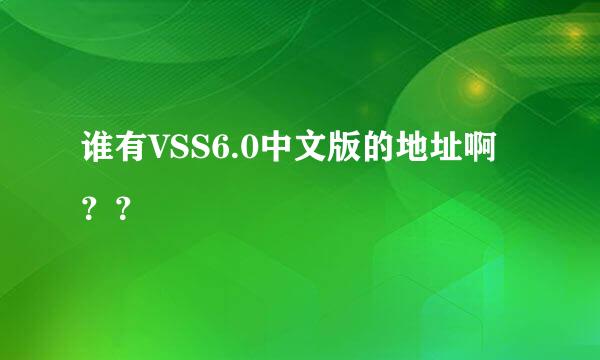 谁有VSS6.0中文版的地址啊？？