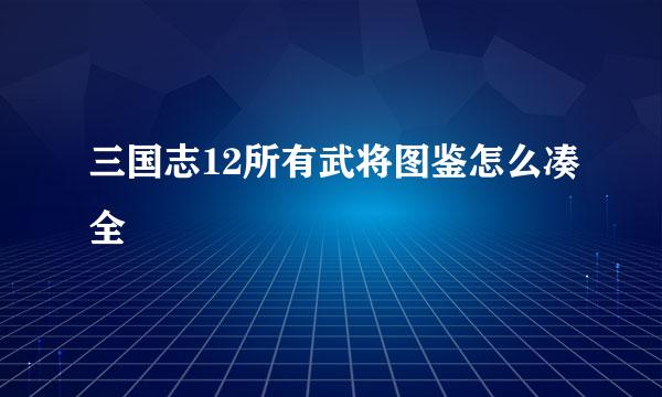 三国志12所有武将图鉴怎么凑全