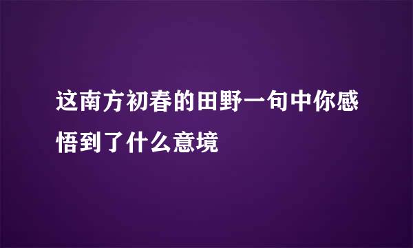 这南方初春的田野一句中你感悟到了什么意境