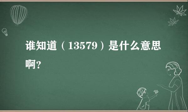 谁知道（13579）是什么意思啊？