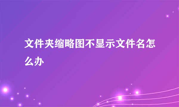 文件夹缩略图不显示文件名怎么办