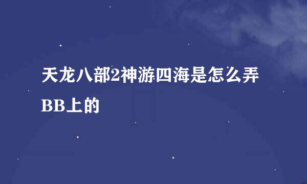 天龙八部2神游四海是怎么弄BB上的