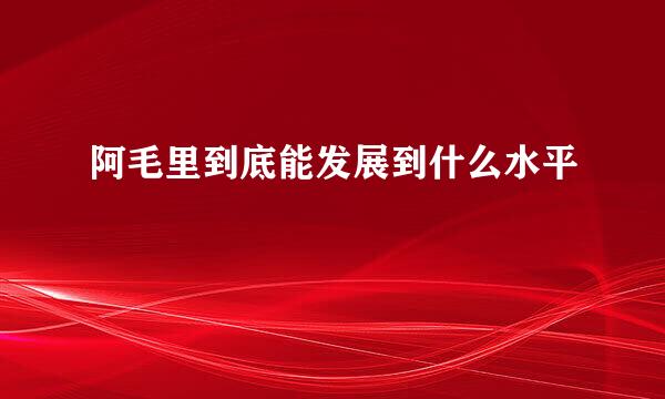 阿毛里到底能发展到什么水平