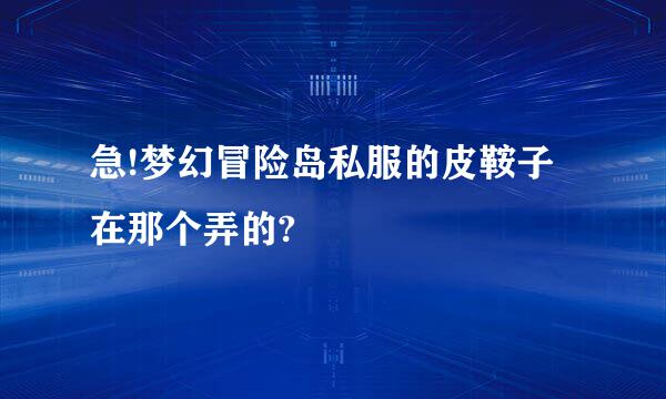 急!梦幻冒险岛私服的皮鞍子在那个弄的?