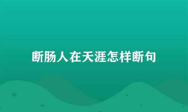 断肠人在天涯怎样断句