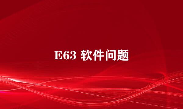 E63 软件问题