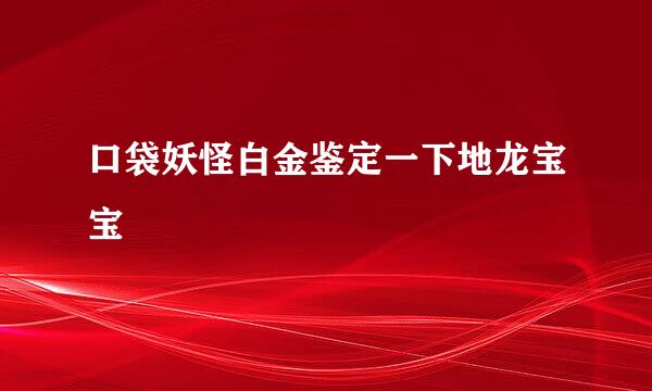 口袋妖怪白金鉴定一下地龙宝宝