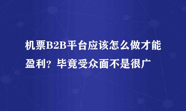 机票B2B平台应该怎么做才能盈利？毕竟受众面不是很广