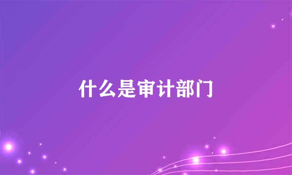 什么是审计部门