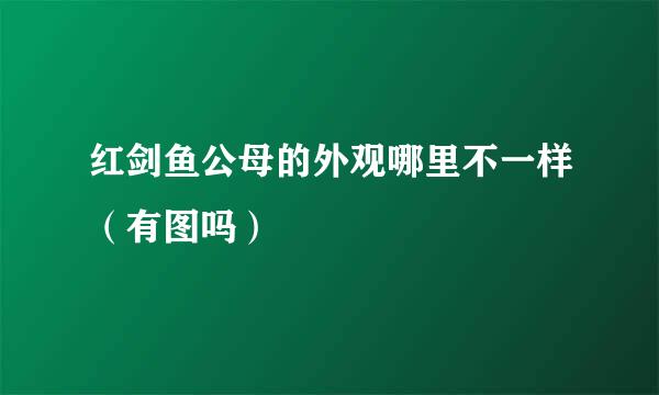 红剑鱼公母的外观哪里不一样（有图吗）