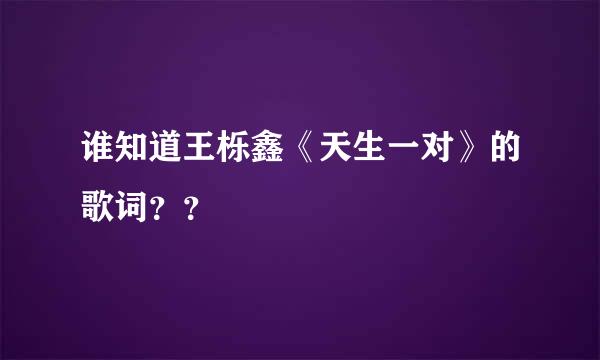 谁知道王栎鑫《天生一对》的歌词？？