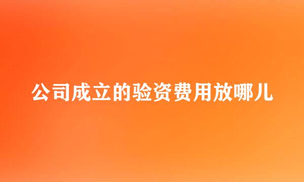 公司成立的验资费用放哪儿