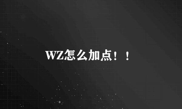 WZ怎么加点！！