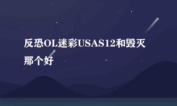 反恐OL迷彩USAS12和毁灭那个好