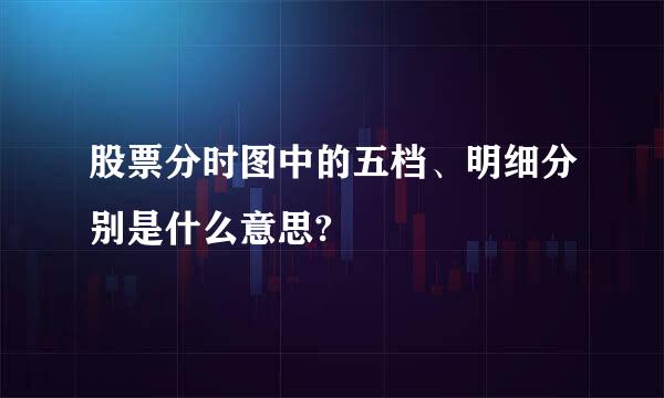 股票分时图中的五档、明细分别是什么意思?