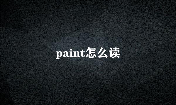 paint怎么读