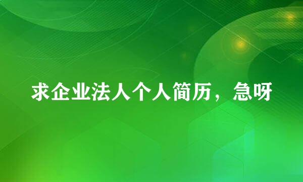 求企业法人个人简历，急呀