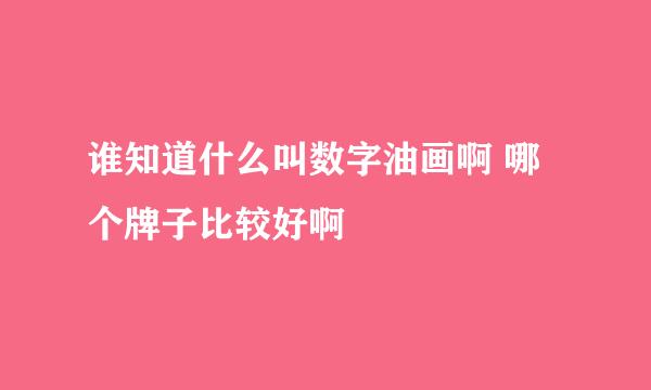 谁知道什么叫数字油画啊 哪个牌子比较好啊